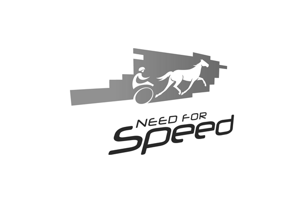 Need For Speed